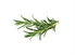 Click and Grow Smart Garden 3 pak refill  - Rosmarin